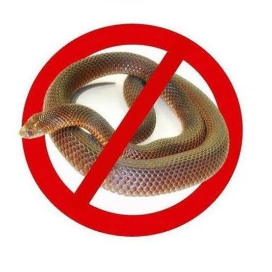 snake control service